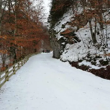 Holiday home Casa Schei Brasov